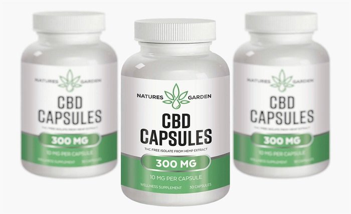 CBD Gummies for Joint Pain