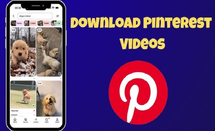 pintrest video download
