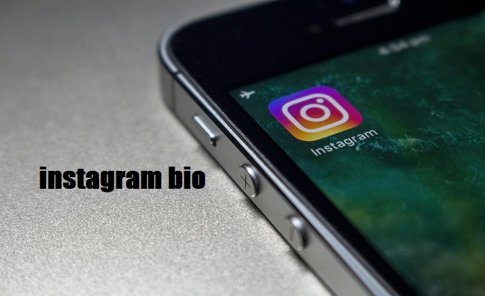 instagram bio
